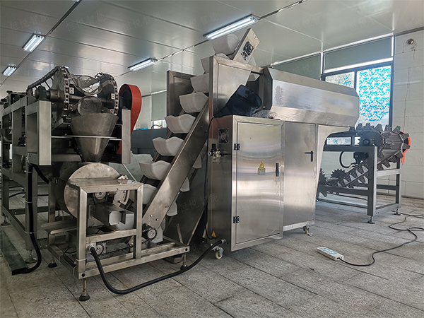 自动化鲜湿米粉91香蕉视频免费下载的工艺应用