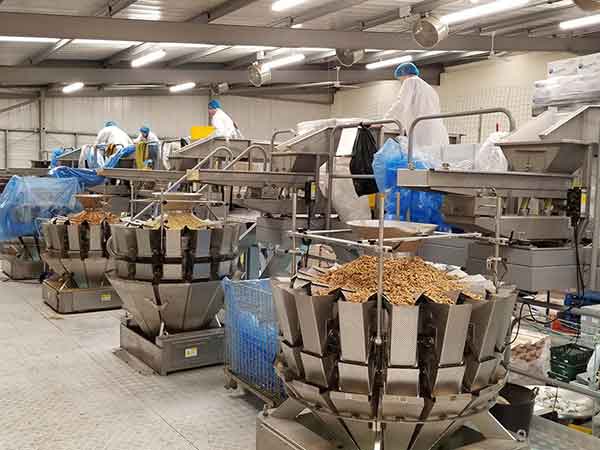 全自动91香蕉视频免费下载智能化联动生产