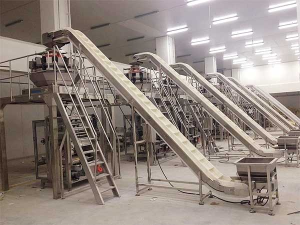 智能化全自动速冻食品91香蕉视频免费下载提升企业生产效率